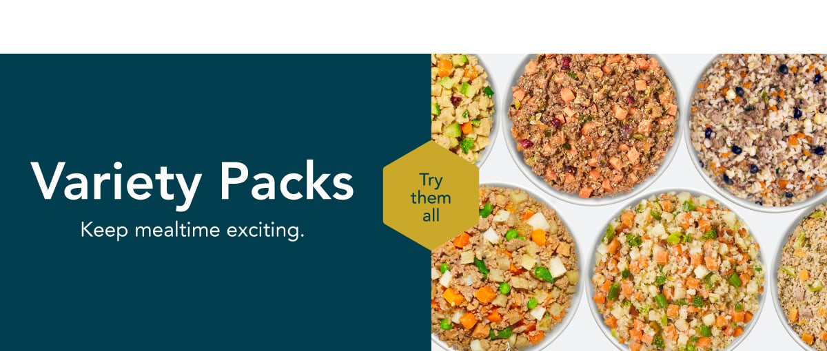 healthy meals for dogs banner