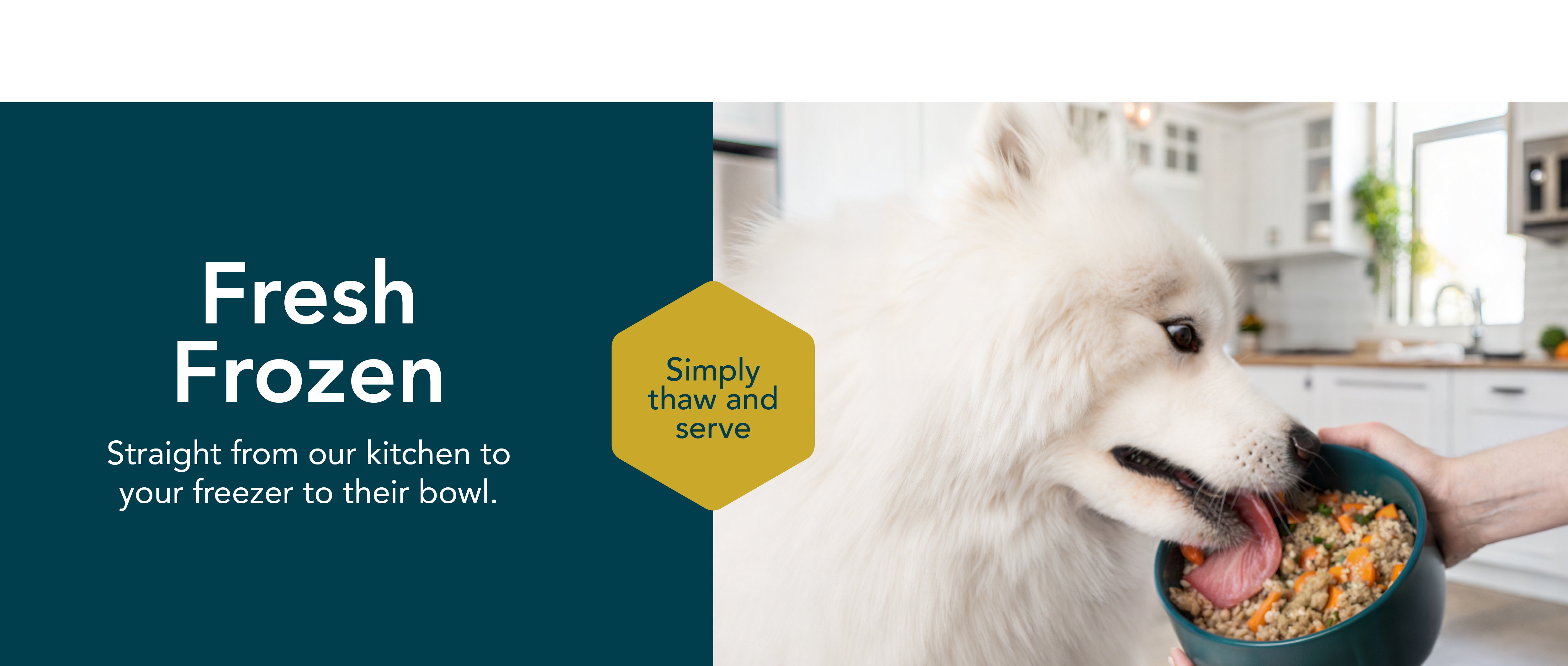 healthy meals for dogs banner