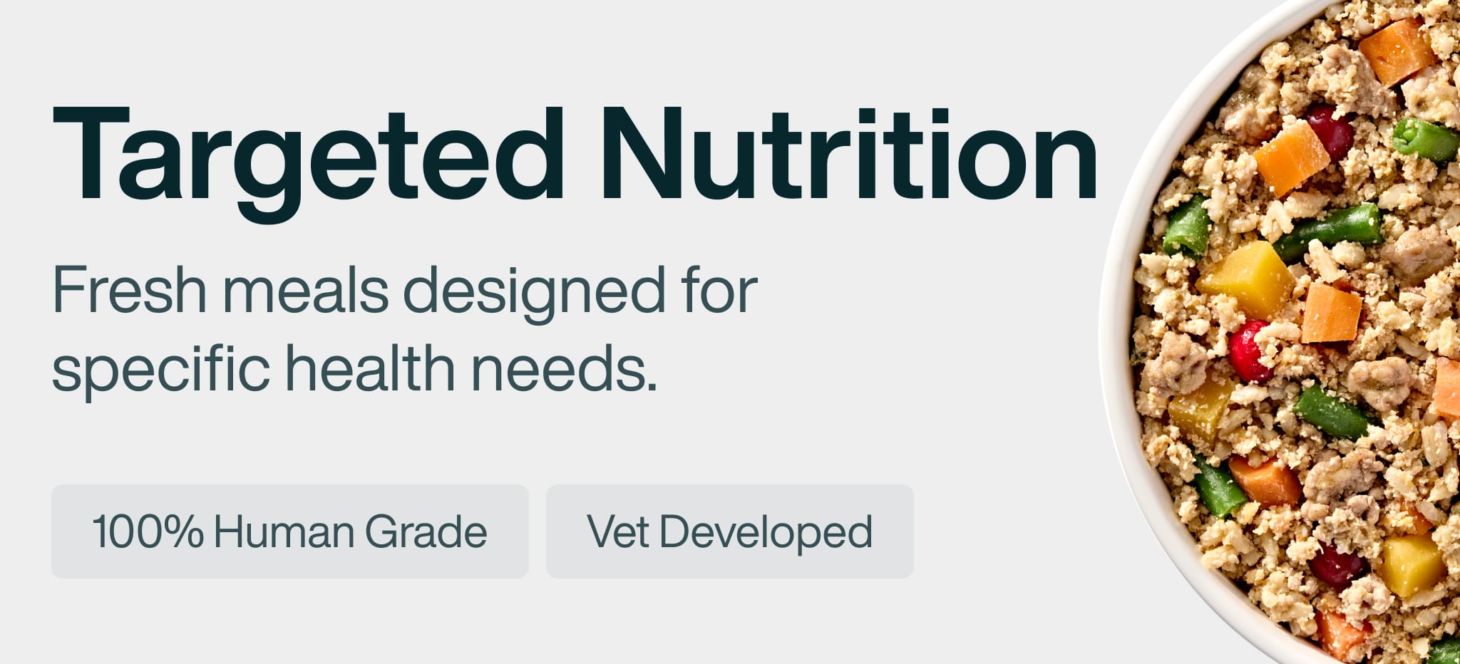 healthy meals for dogs banner