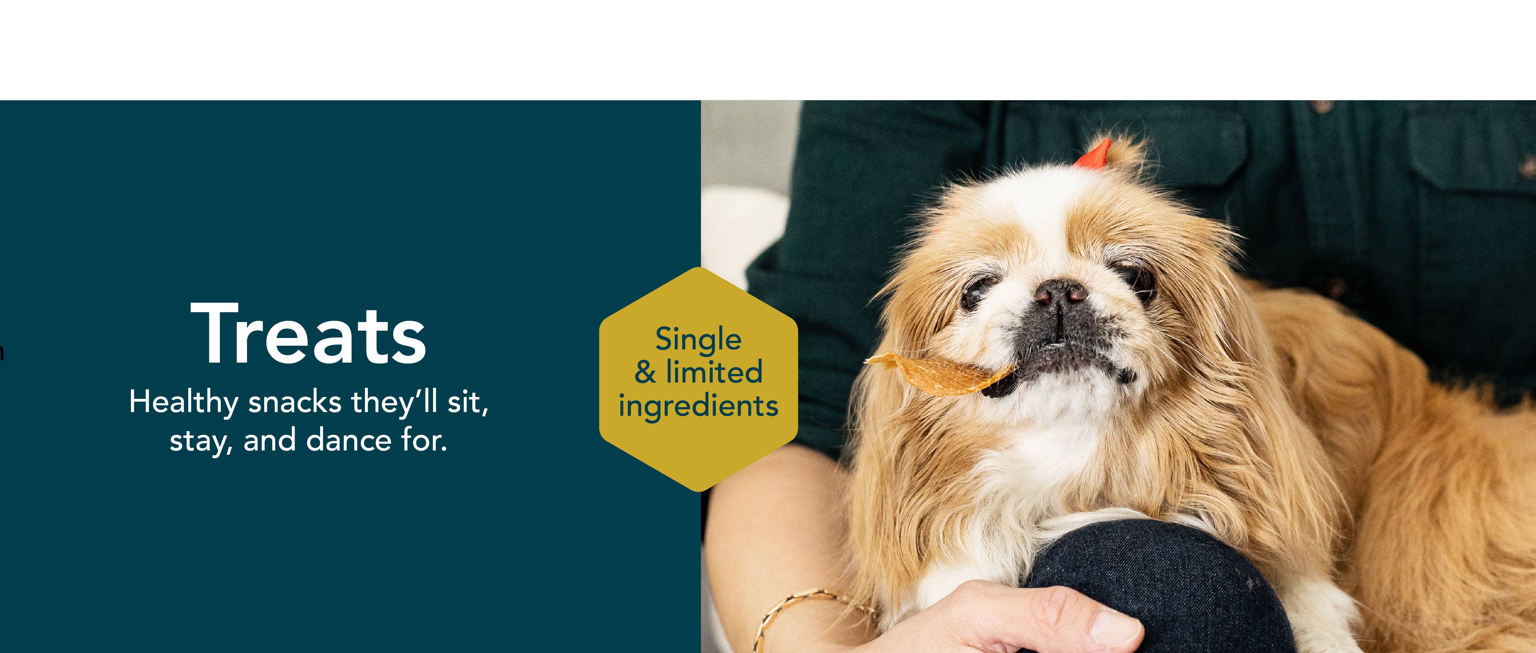 healthy meals for dogs banner