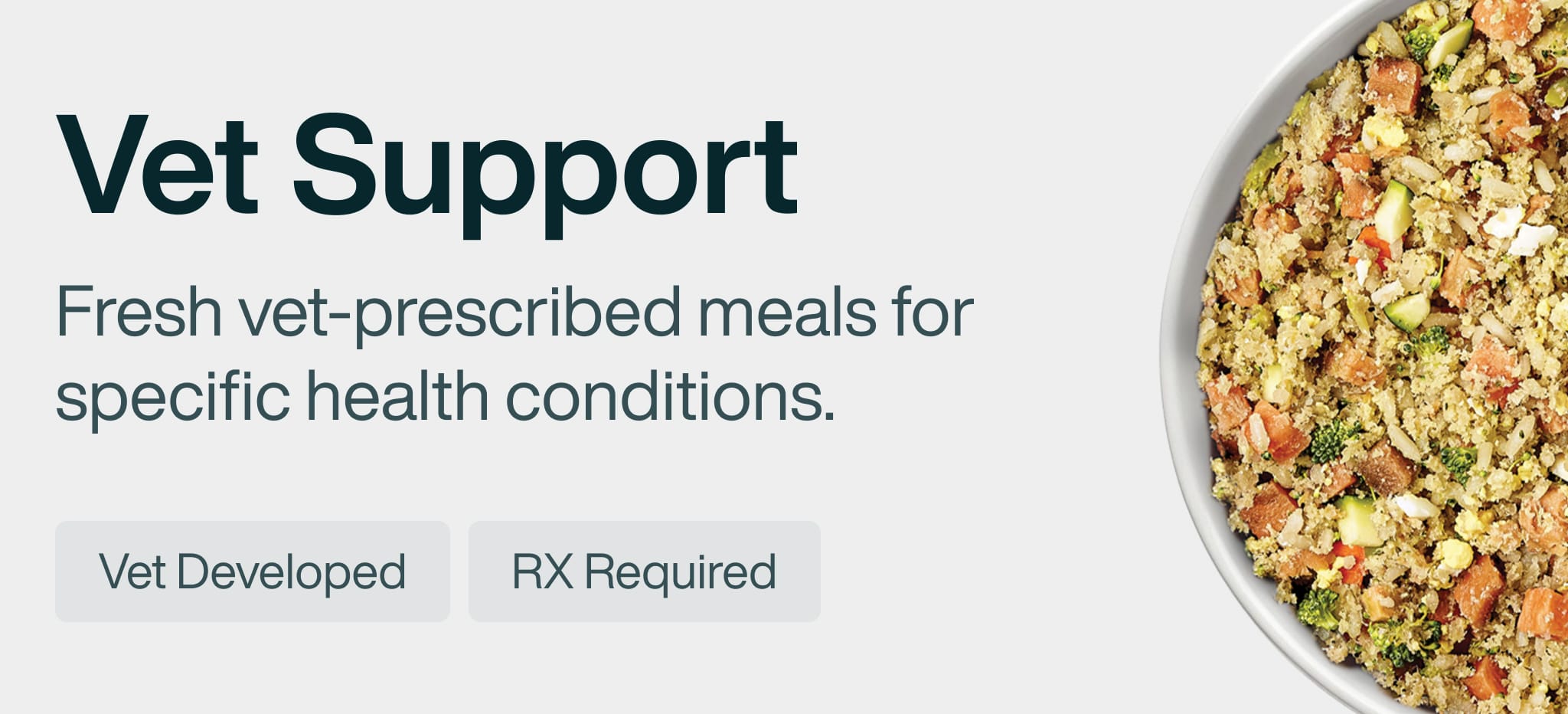 healthy meals for dogs banner