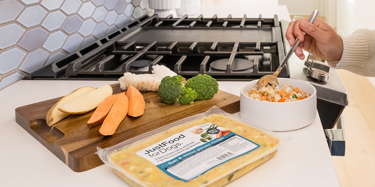 just food for dogs beef dog food with fresh ingredients displayed around the bowl