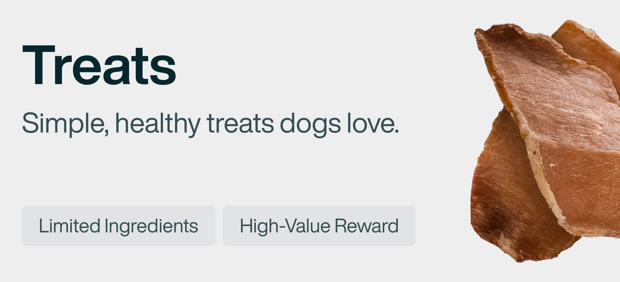 healthy meals for dogs banner