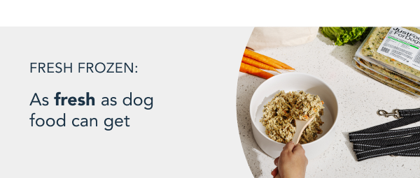 healthy meals for dogs banner
