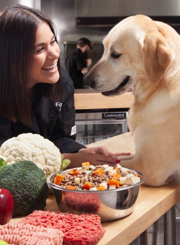 best food for pets