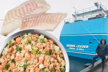 Alberto Andrade, JFFD Chief of Staff at the bering sea, visiting one of the boats that catches our wild-caught cod, a bowl of Fish & Sweet potato recipe and pieces of fresh cod. 