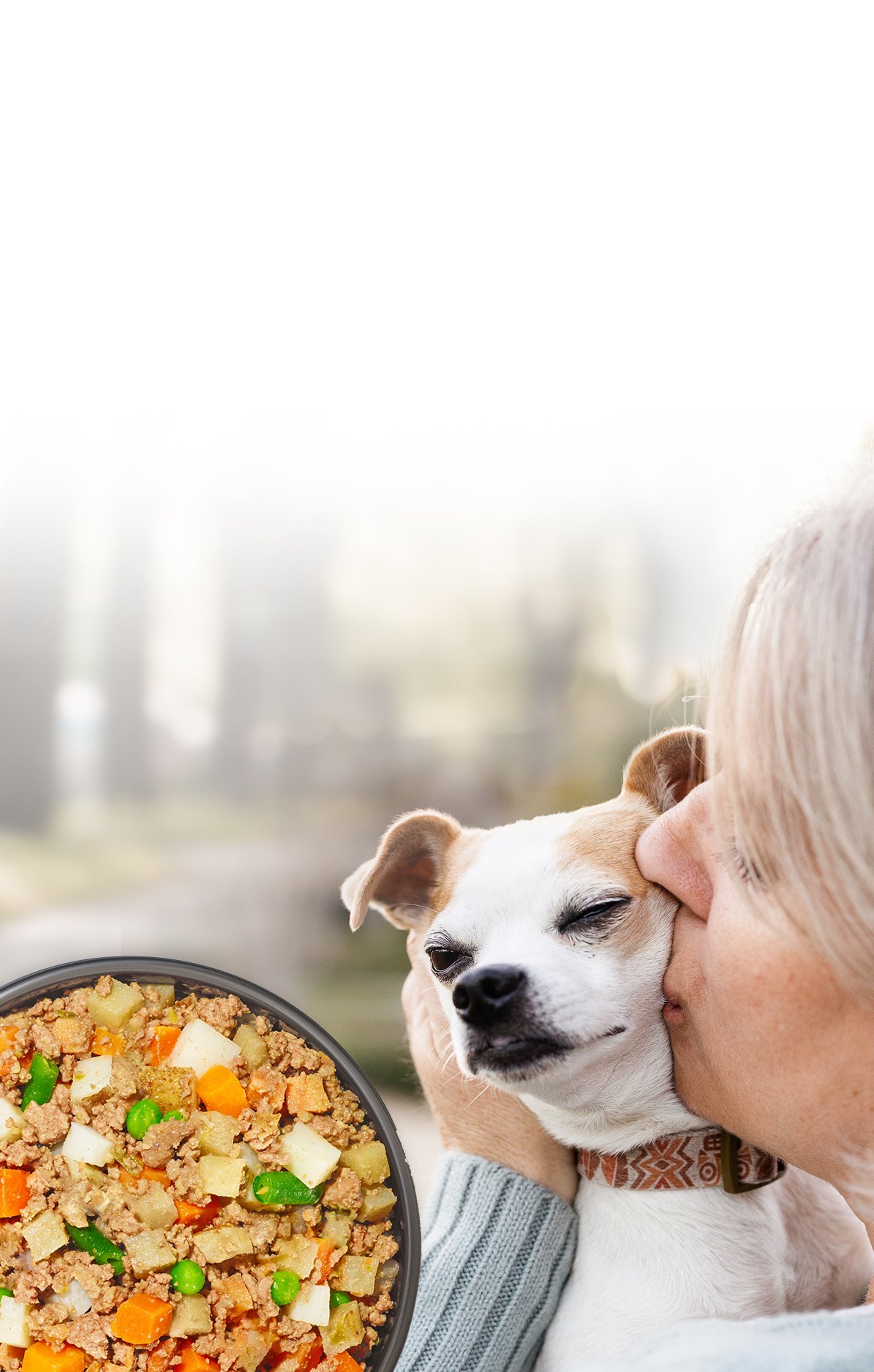 picture of a happy dog with an overlay of fresh dog food bowl