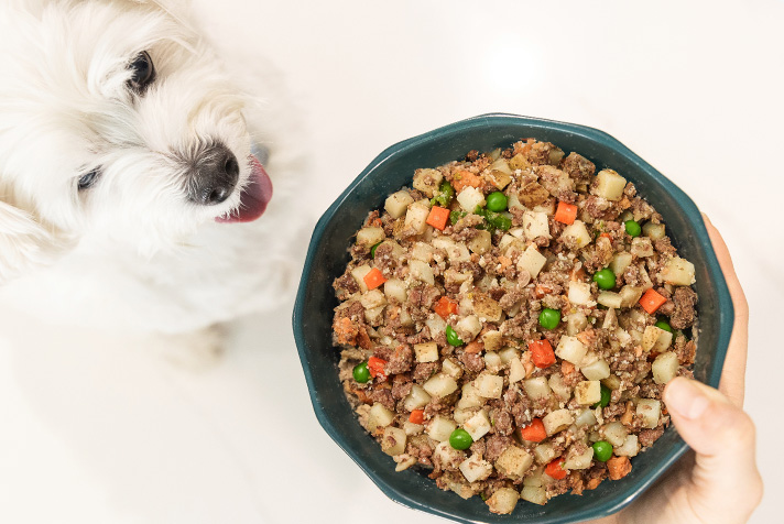 just food for dogs beef and russet potato, turkey and whole wheat macaroni, and large breed support meal presented in silver bowls. 