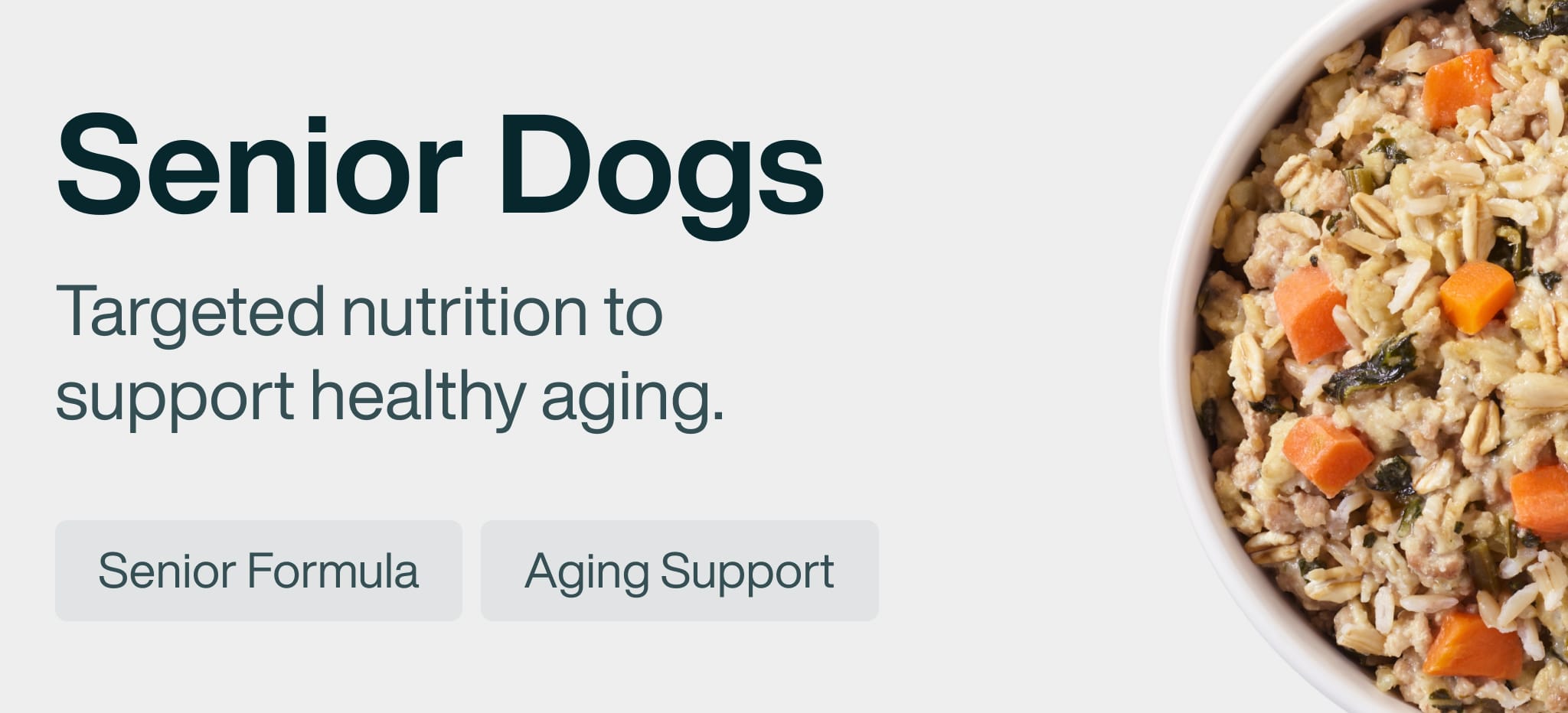 healthy meals for dogs banner