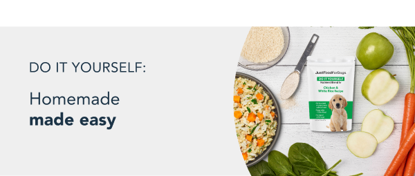 healthy meals for dogs banner