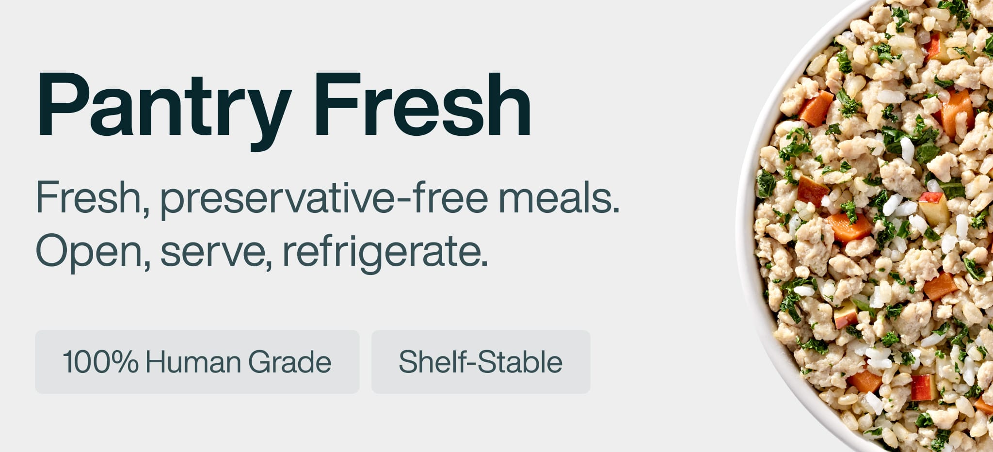 healthy meals for dogs banner