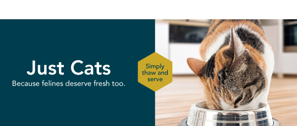Healthy cat food banner