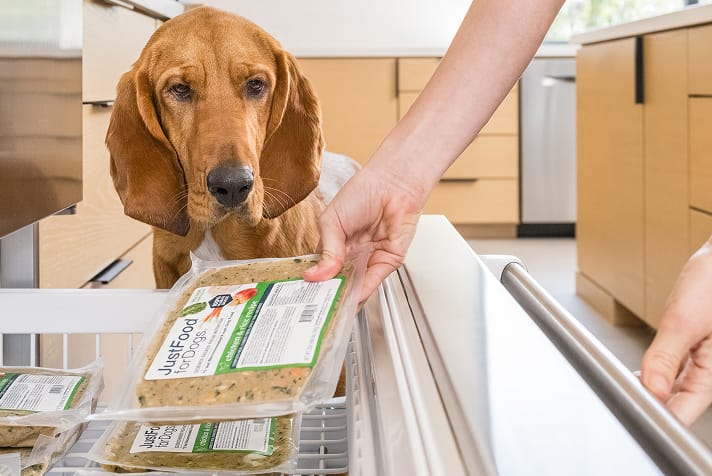 justfresh shelf-stable dog food in convenient resealable pouches