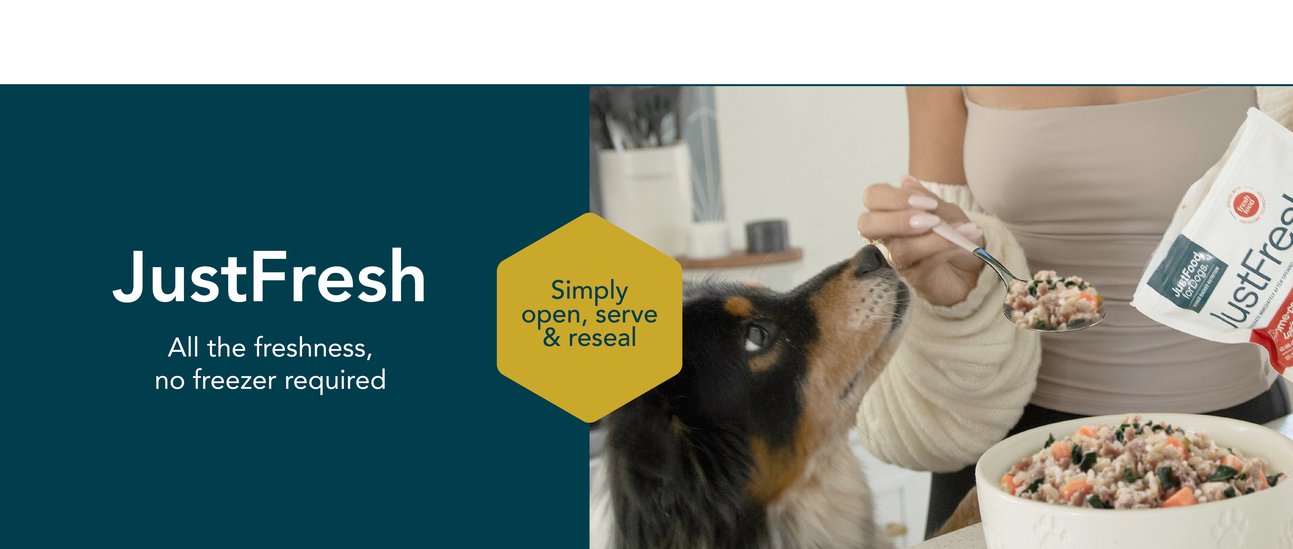 healthy meals for dogs banner