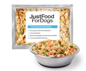 fish fresh dog food