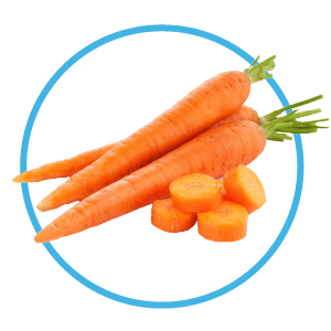 Carrot slices