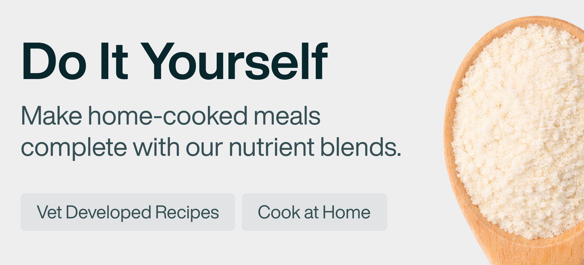 healthy meals for dogs banner