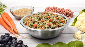 just food for dogs vet support diet, renal support low protein presented in a bowl with raw, fresh whole food ingredients displayed around the bowl