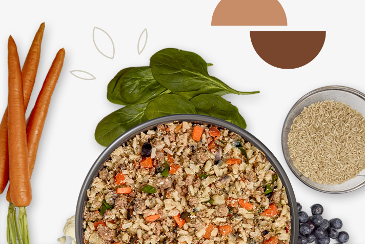 a custom just food for dogs recipe with cod, salmon, and sweet potato presented in a bowl with raw, fresh ingredients displayed around the bowl