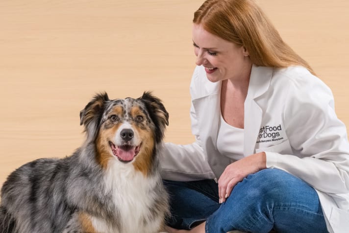 dog sitting next to veterinarian