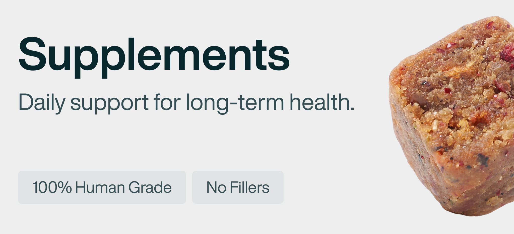 healthy meals for dogs banner