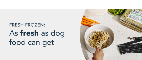 healthy meals for dogs banner tablet