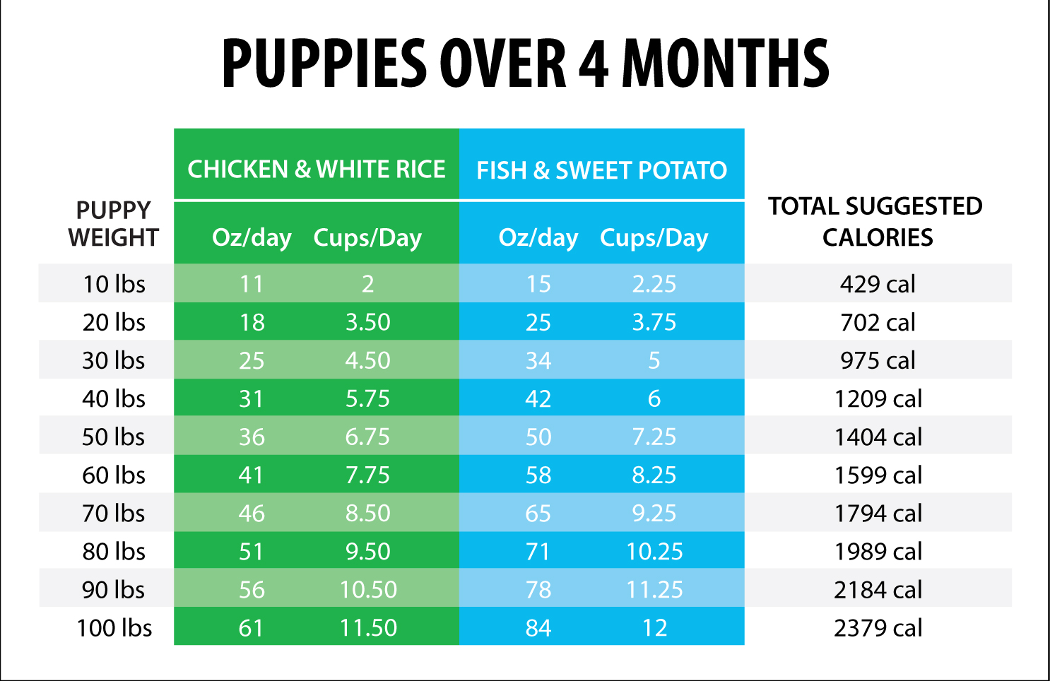 Puppies over 4 months