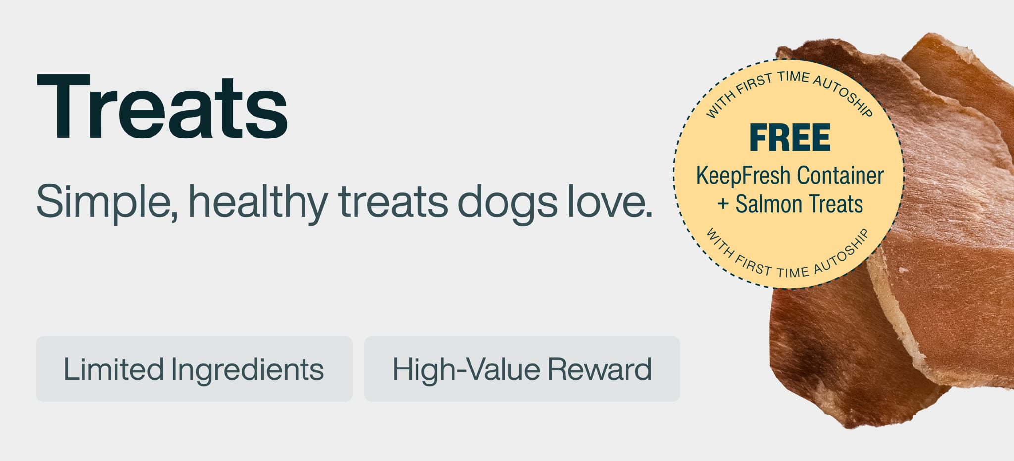 healthy meals for dogs banner