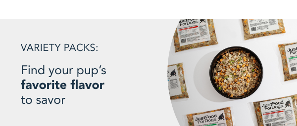 healthy meals for dogs banner