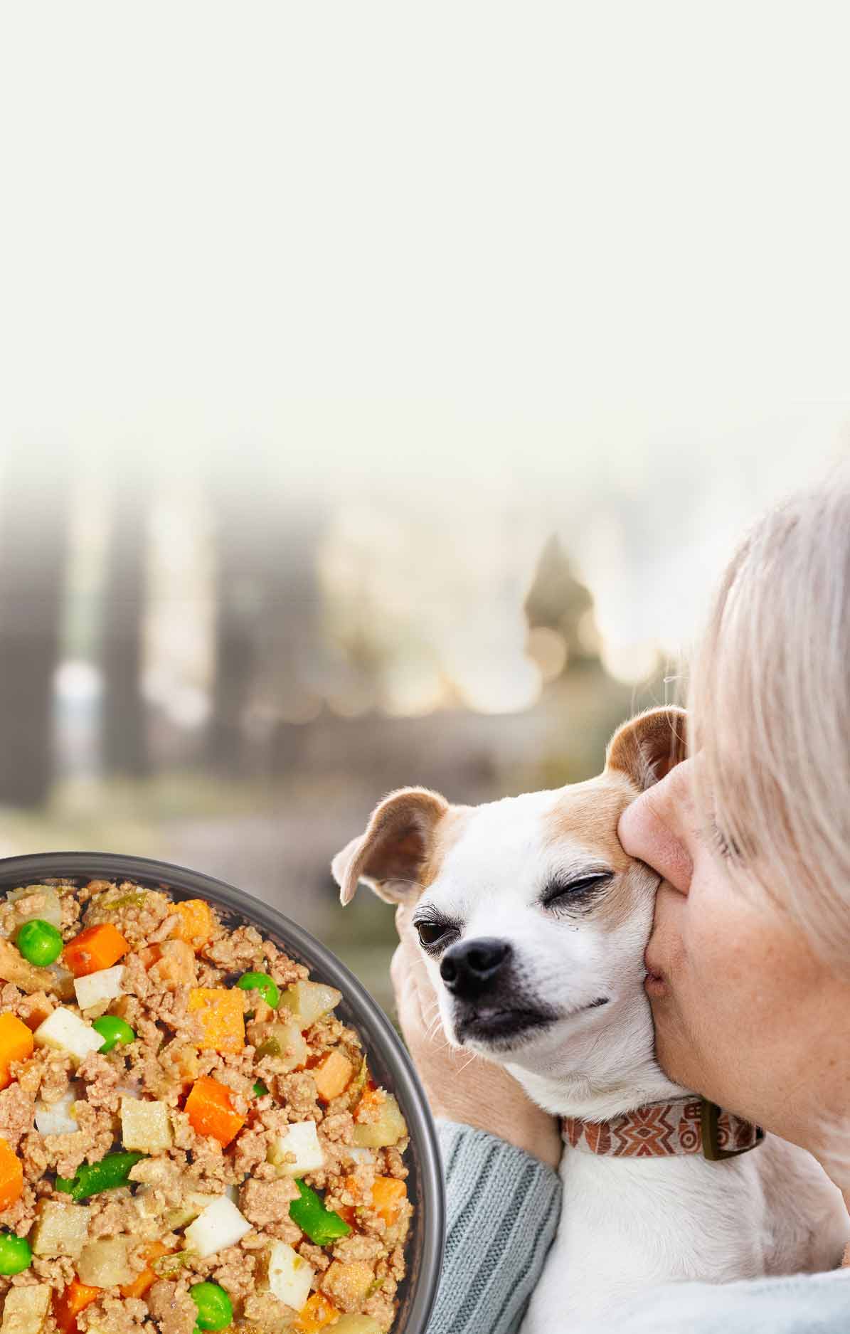 picture of a happy dog with an overlay of fresh dog food bowl