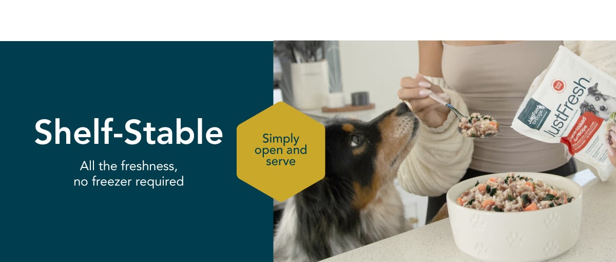 healthy meals for dogs banner