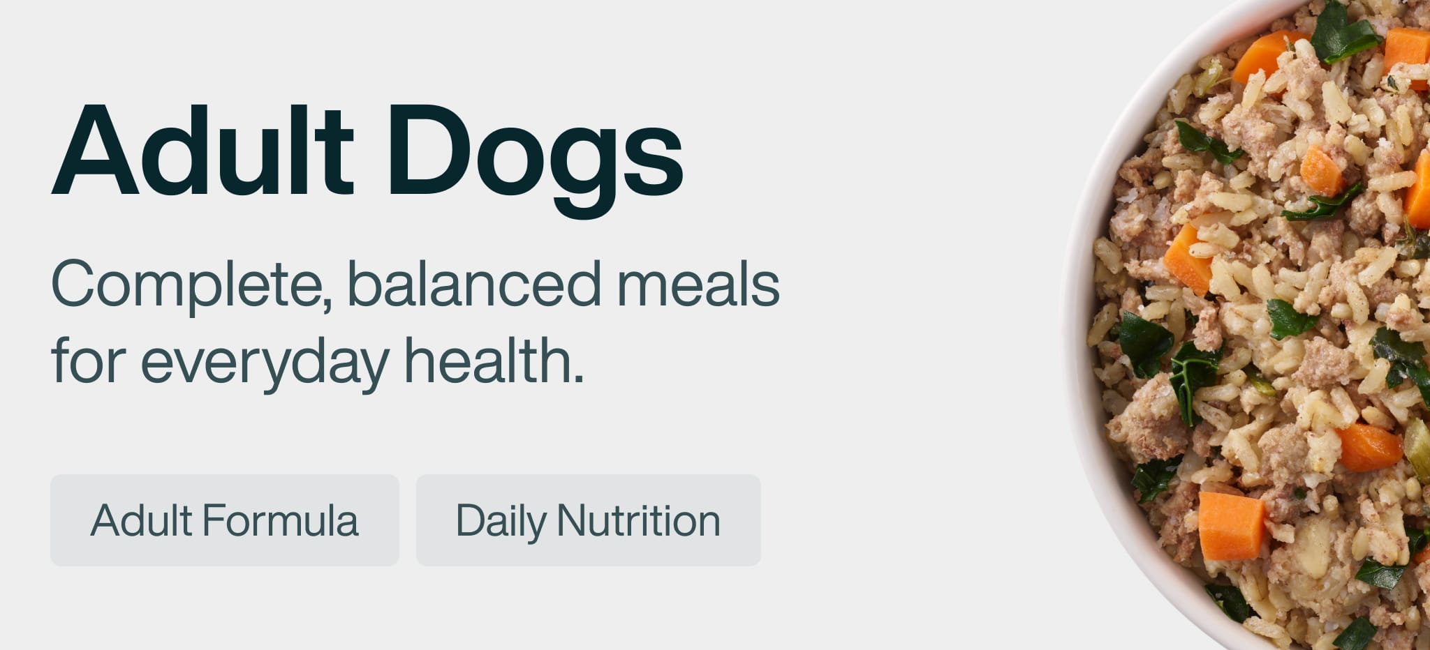 healthy meals for dogs banner