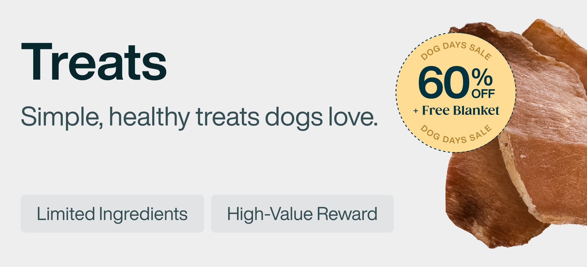 healthy meals for dogs banner