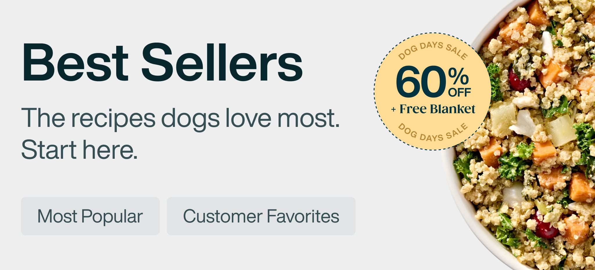 healthy meals for dogs banner