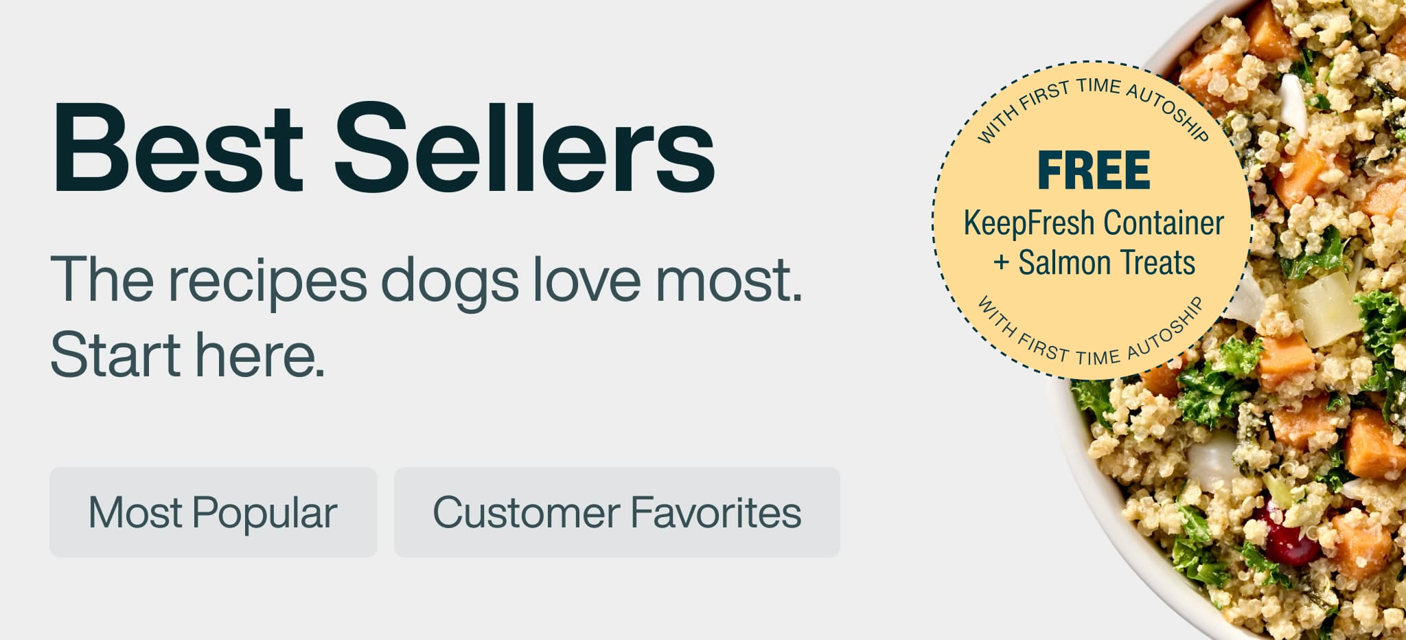 healthy meals for dogs banner