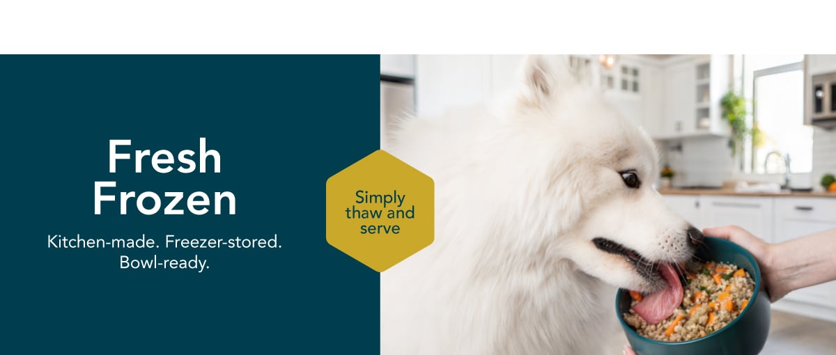 healthy meals for dogs banner
