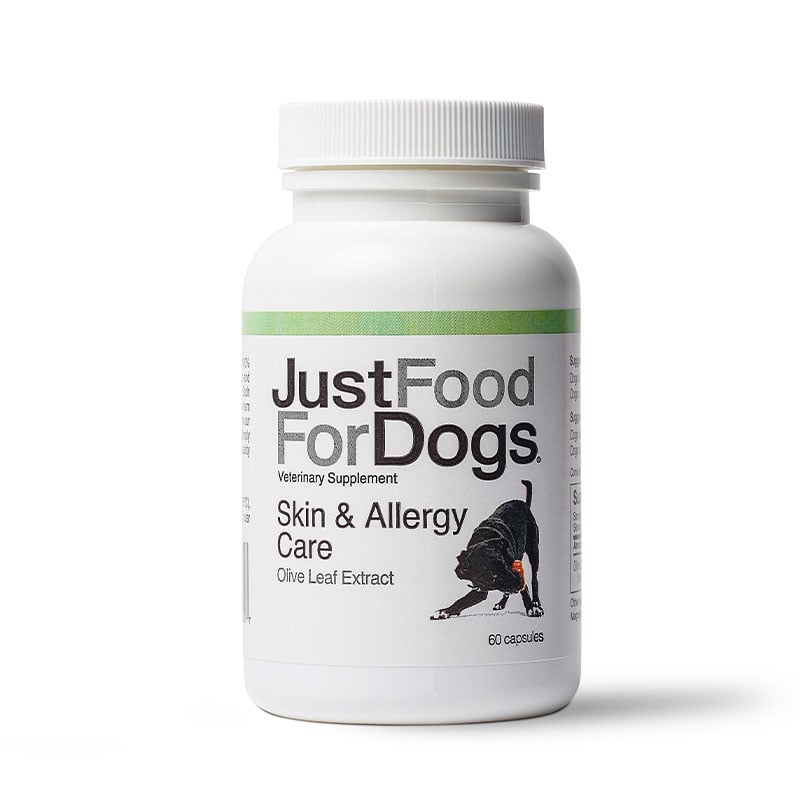 Skin \u0026 Allergy Supplement for Dogs 